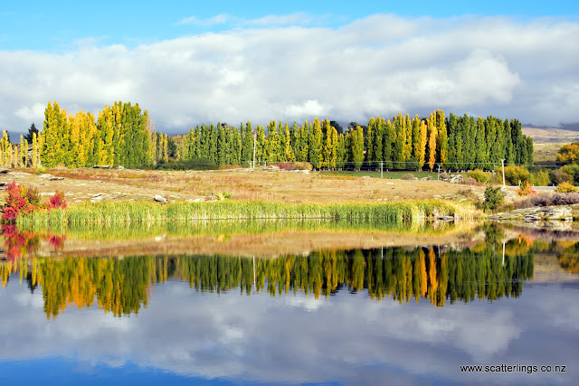 Reflections near Alexandra