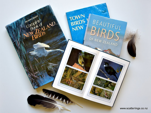 little nz birds update