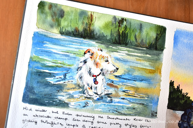 Zulu swimming the Smoothwater River.