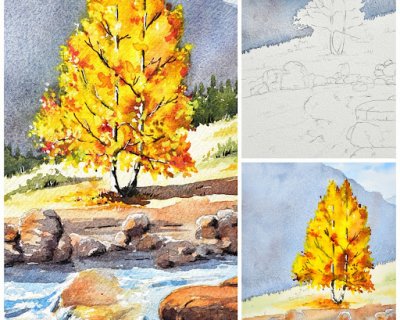 autumn silver birches