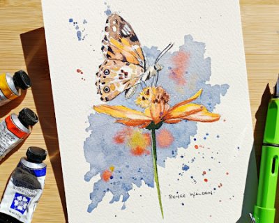 a butterfly on a cosmos flower