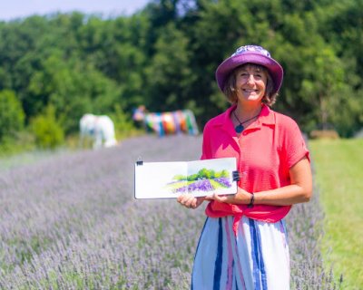 sketching a lavender field in france