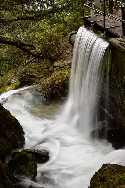 Wye Creek, Queensown