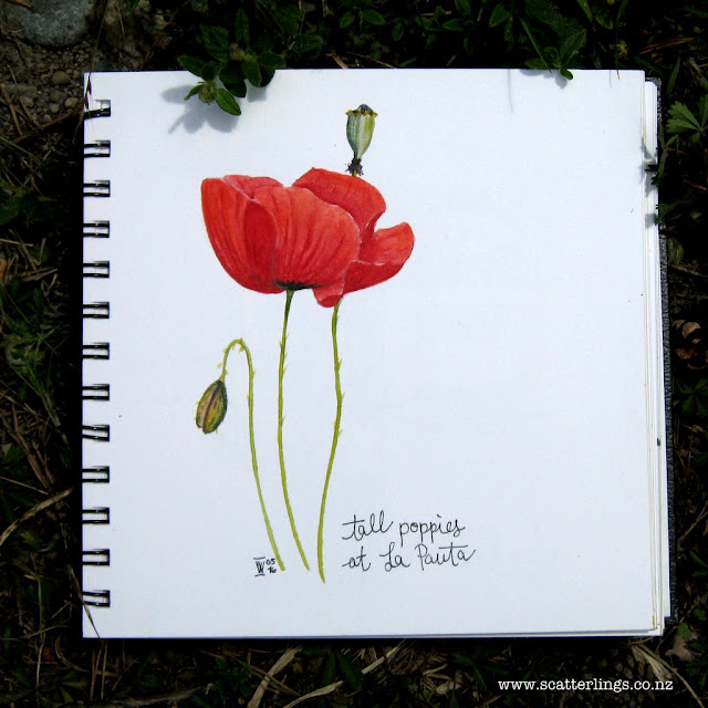 Oh the joy of fields of poppies. Never tire of it!