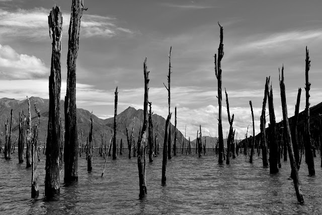 summertime : out and about