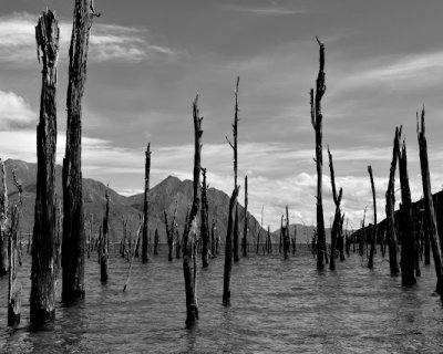 summertime : out and about