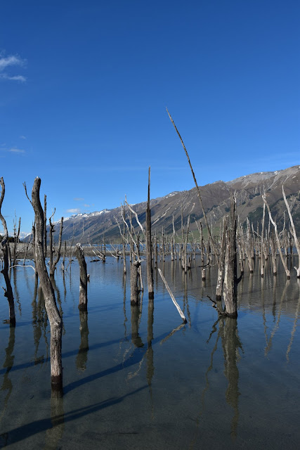 Reflections and shadows