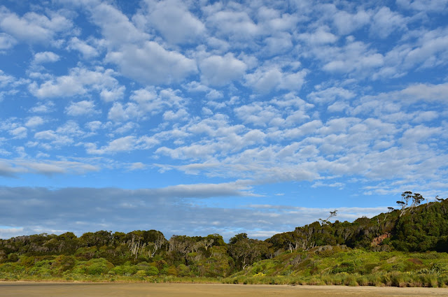 Beach, forest, clouds
