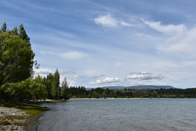Big sky, poplars, lake