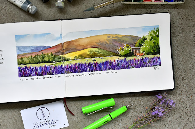 At the Wanaka Lavender Farm looking towards Crifflel Peak and Mt Barker