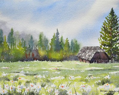 painting vibrant watercolours : 9 tips for you