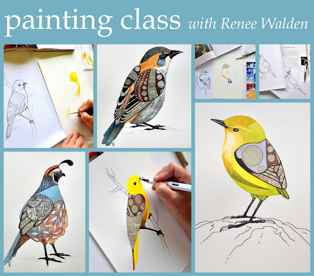 upcoming class : painting birds in watercolour and collage