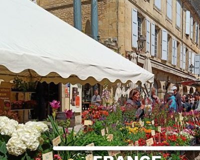 painting holiday in france : june 2025