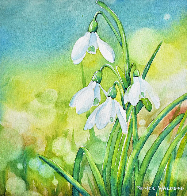 snowdrops in watercolour