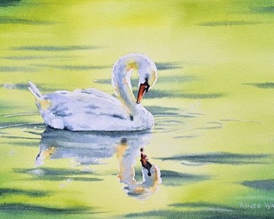 painting a swan in watercolour