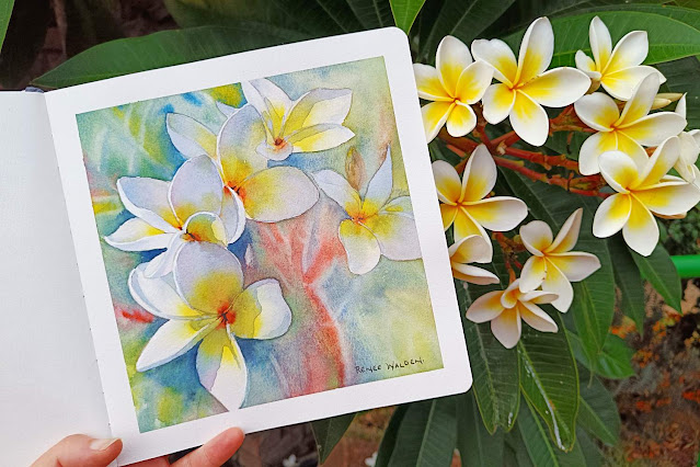 frangipanis in watercolour