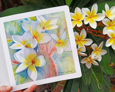 frangipanis in watercolour