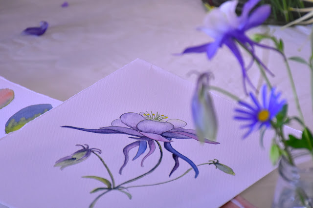 Grannie's Bonnet in watercolour and ink