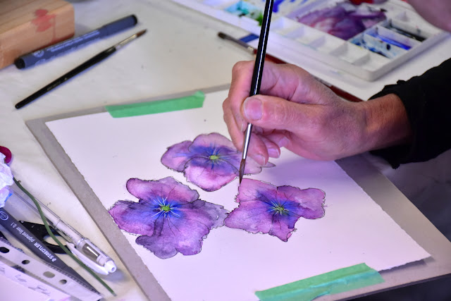 Hydrangea petals in watercolour and ink