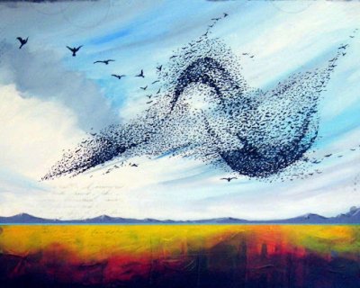 murmuration