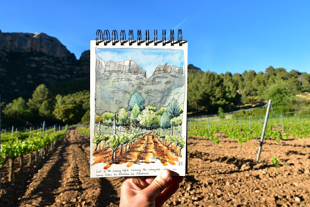 Spring vineyard, La Morera de Monstant
