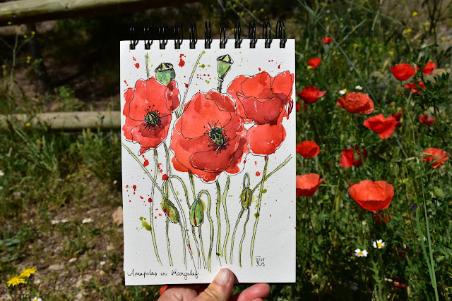 Poppies