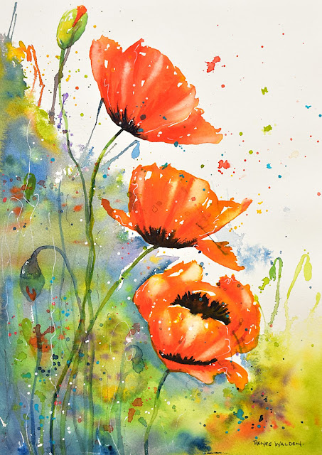 Red poppies in watercolour