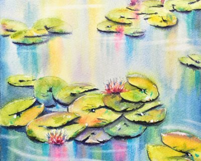 waterlily ponds