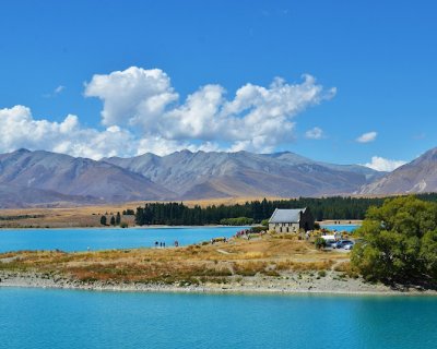 free live online demo