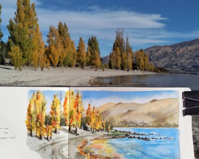 out and about : autumn into winter