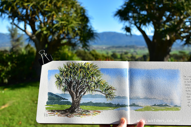 The house we were staying has a wonderful garden. These Tree Aloes a definite highlight.