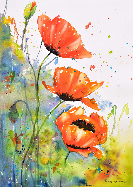 bold poppies in watercolour