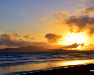 out and about : february and march