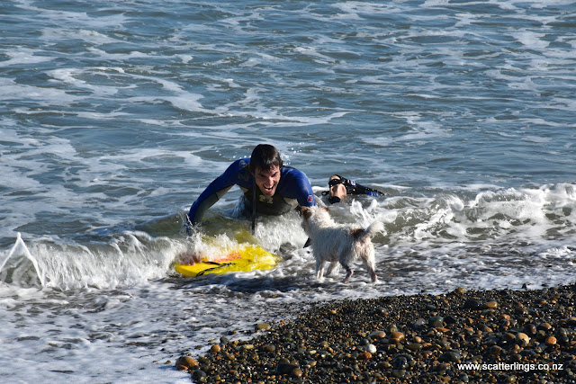 These 2 love the surf!