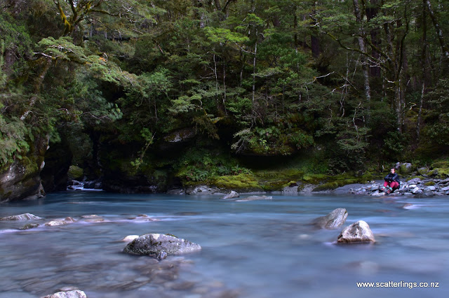 Glacierburn, Mount Aspiring National Park
