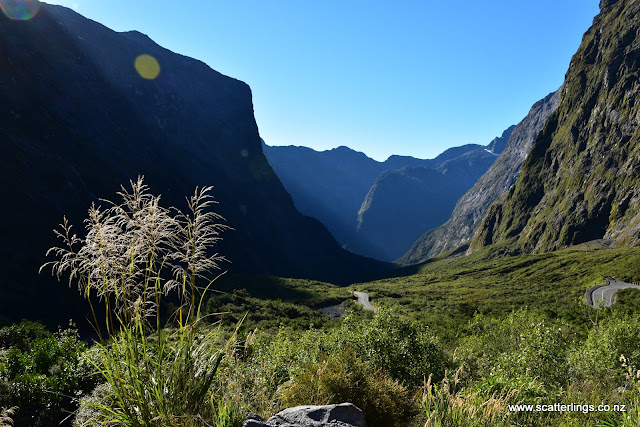 Cleddau Valley, Fiordland National Park