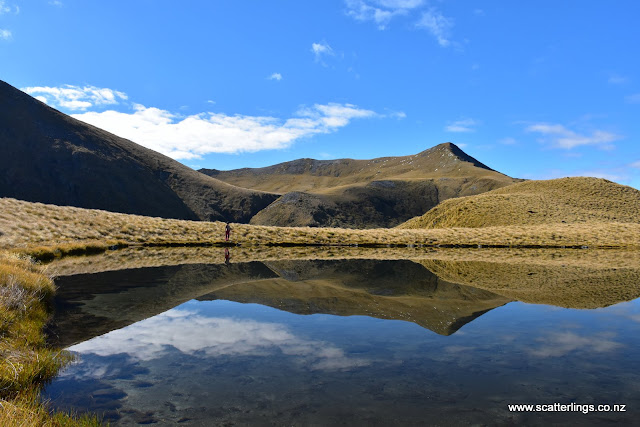Relfections, Fiordland National Park.