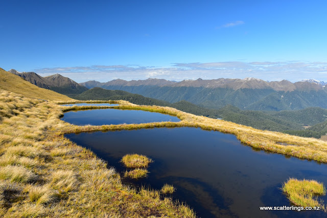 Alpine tarns, Fiordland National Park