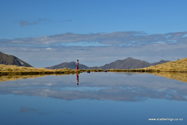 More reflections, Fiordland National Park