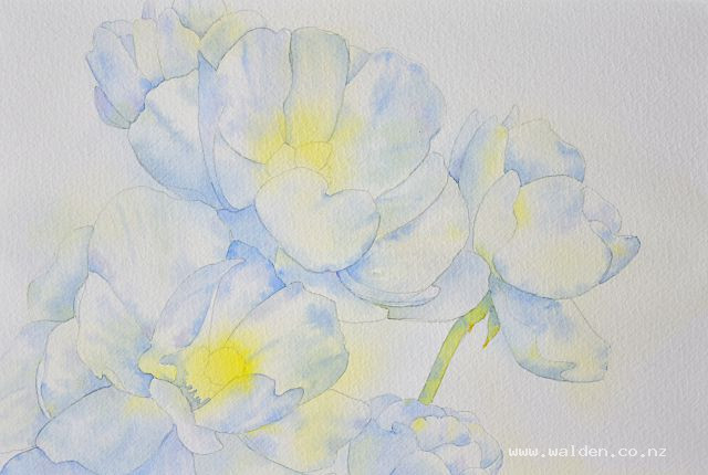 Second wash complete