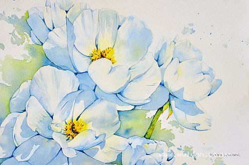 Painting a white flower in watercolour - adding the background