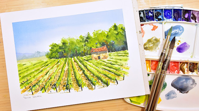 a vineyard in watercolour