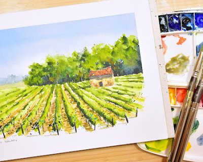 a vineyard in watercolour