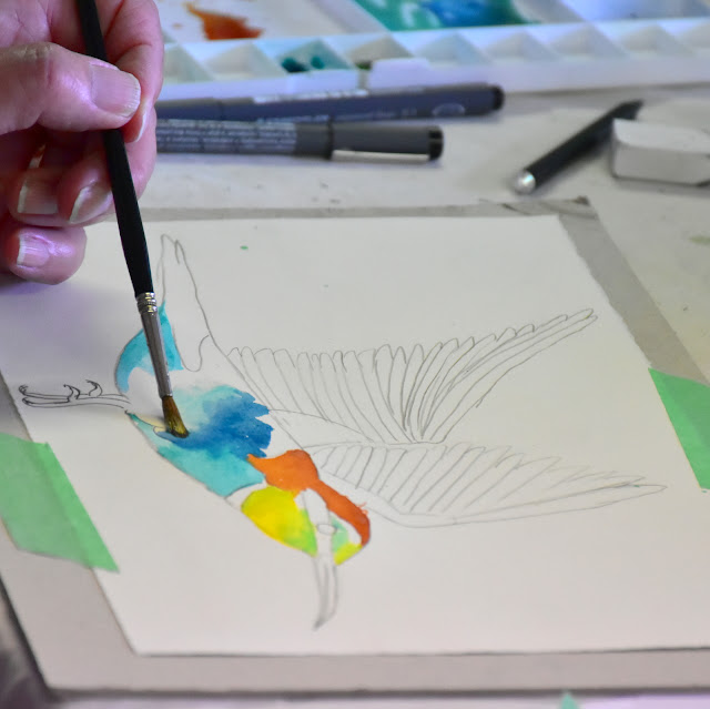 Having fun with lovely colours and soaring wings