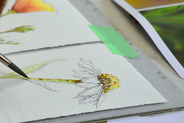 flower painting workshop