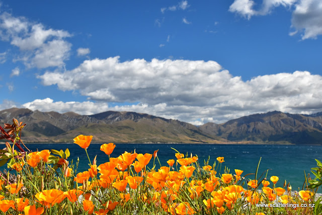 january out and about