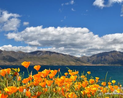 january out and about