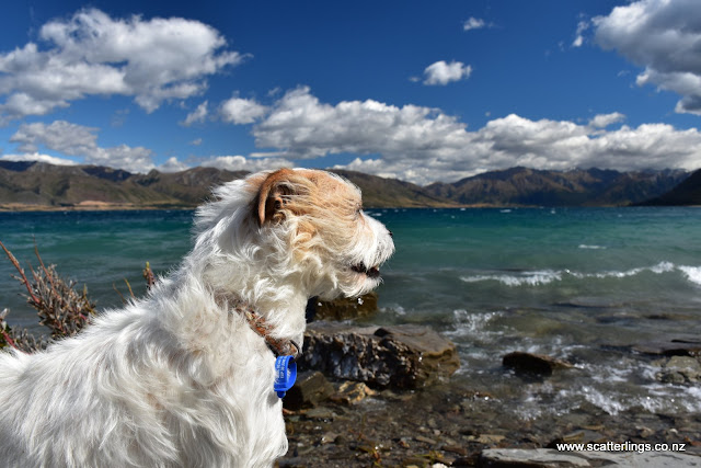 Photo bombed! But I don't mind :-)