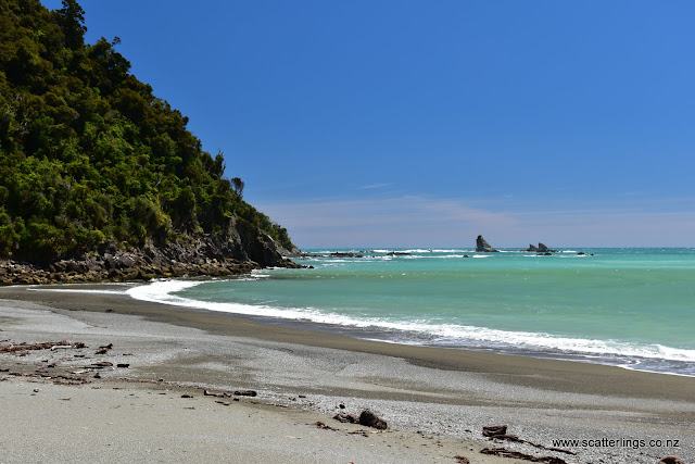 Westland National Park, New Zealand