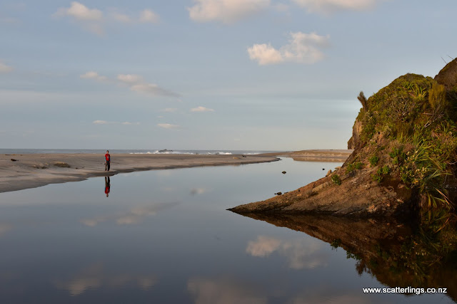 Evening Light, Westland National Park, New Zealand